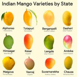 Mango Verities